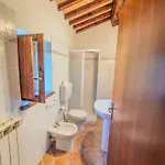 La Oliveto