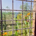 La Oliveto *
