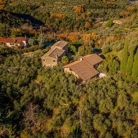 Apartamento La Oliveto *