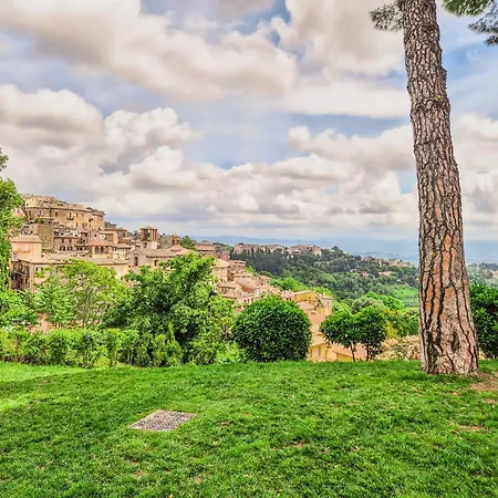 Apartamento La Oliveto *