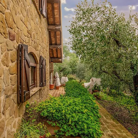 La Oliveto Apartamento