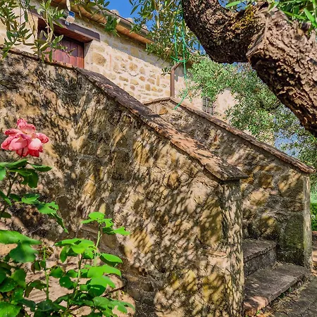 La Oliveto Апартаменты Беттона