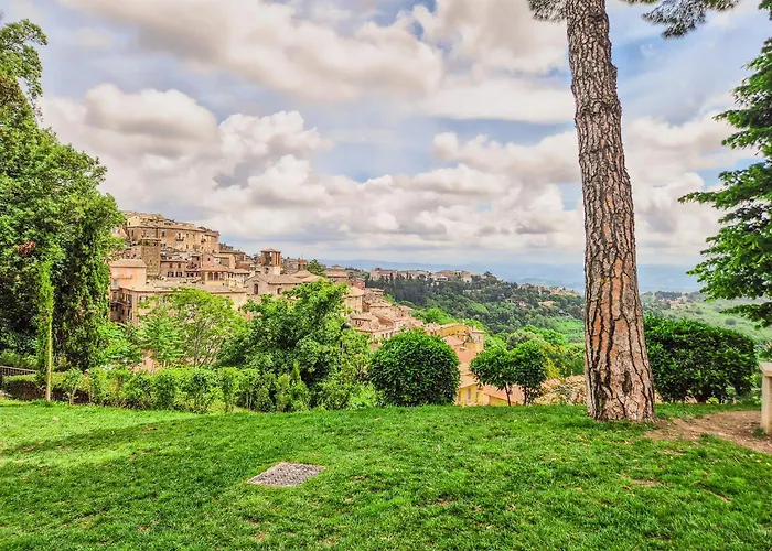 Apartamento La Oliveto *