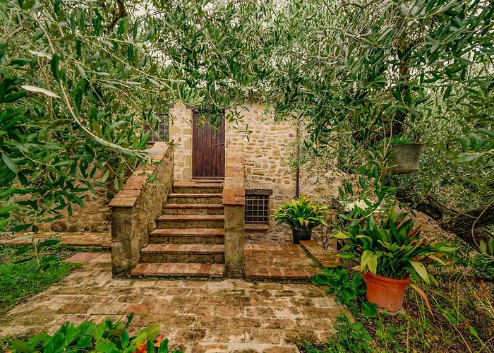 Appartement La Oliveto